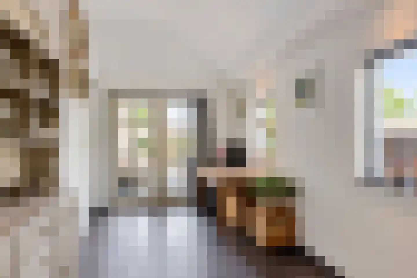 Burenlaan 50 Pingjum thumbnail 21