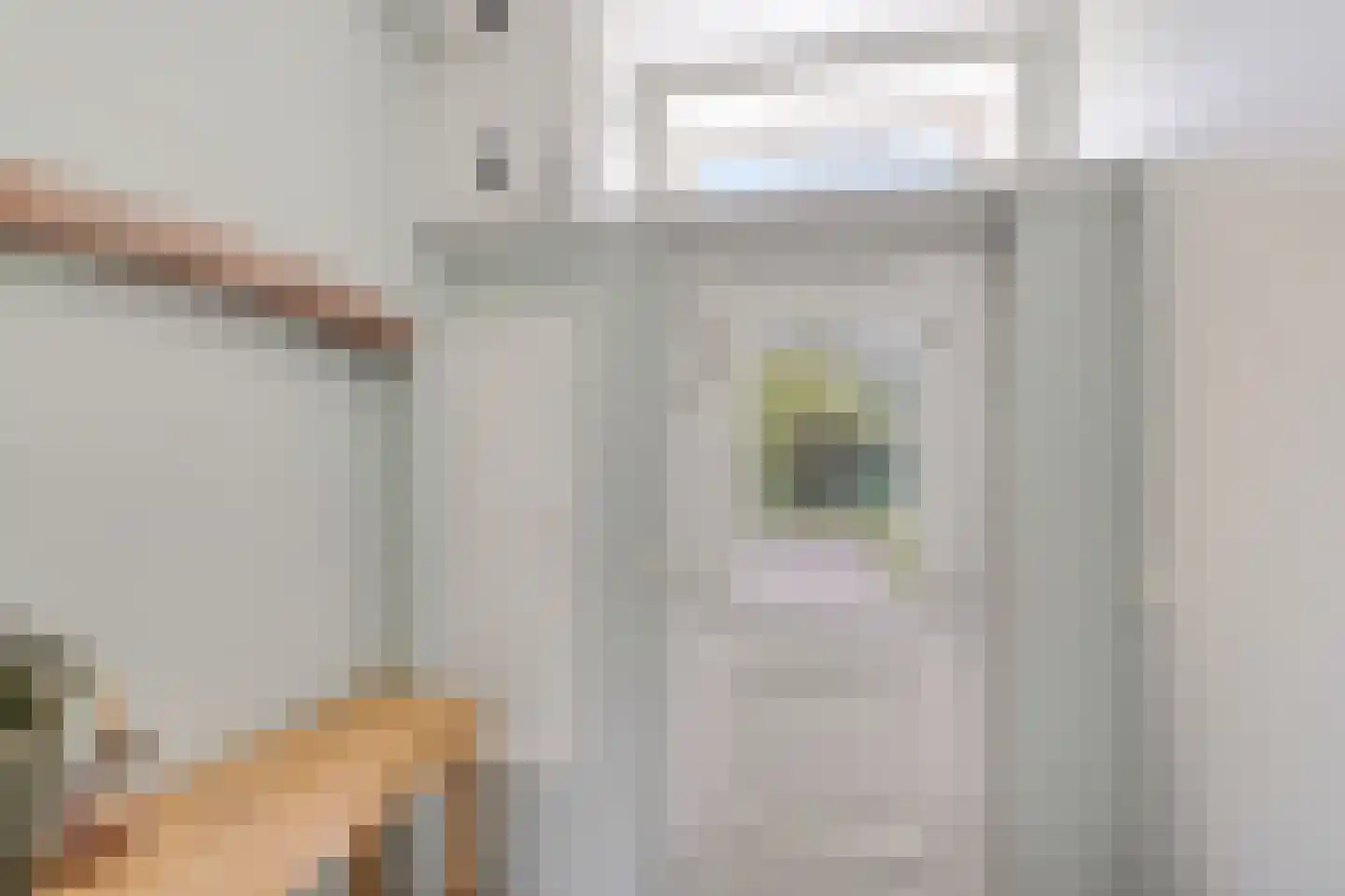 Burenlaan 50 Pingjum thumbnail 23