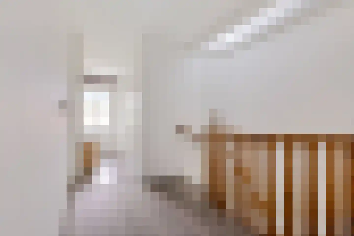 Burenlaan 50 Pingjum thumbnail 25