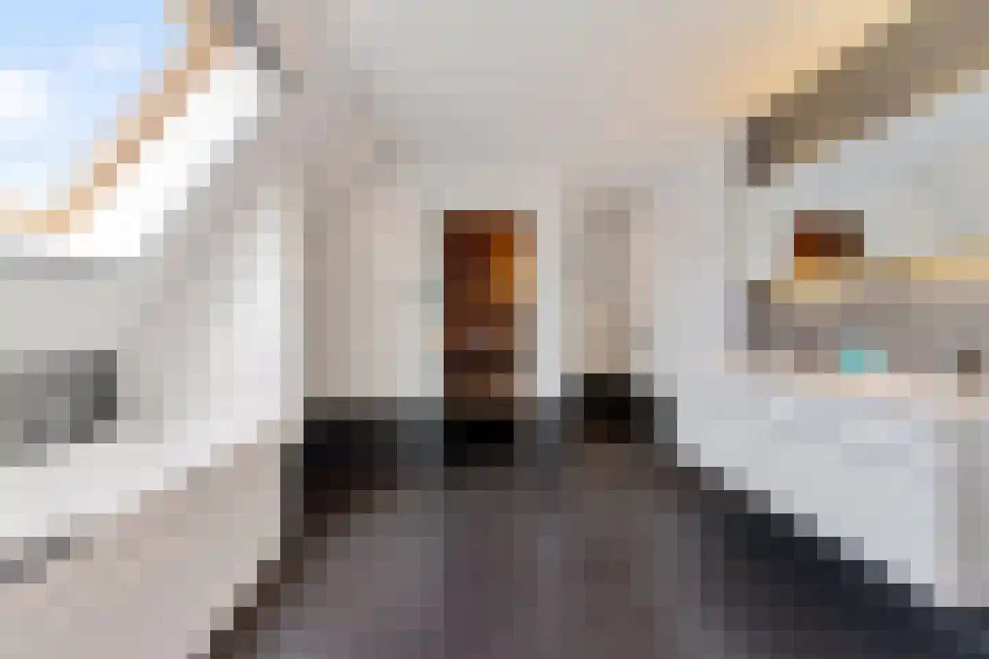 Burenlaan 50 Pingjum thumbnail 28
