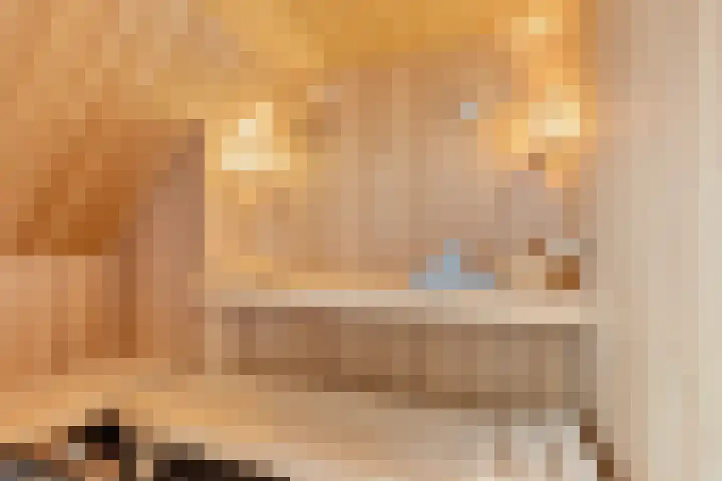 Burenlaan 50 Pingjum thumbnail 29