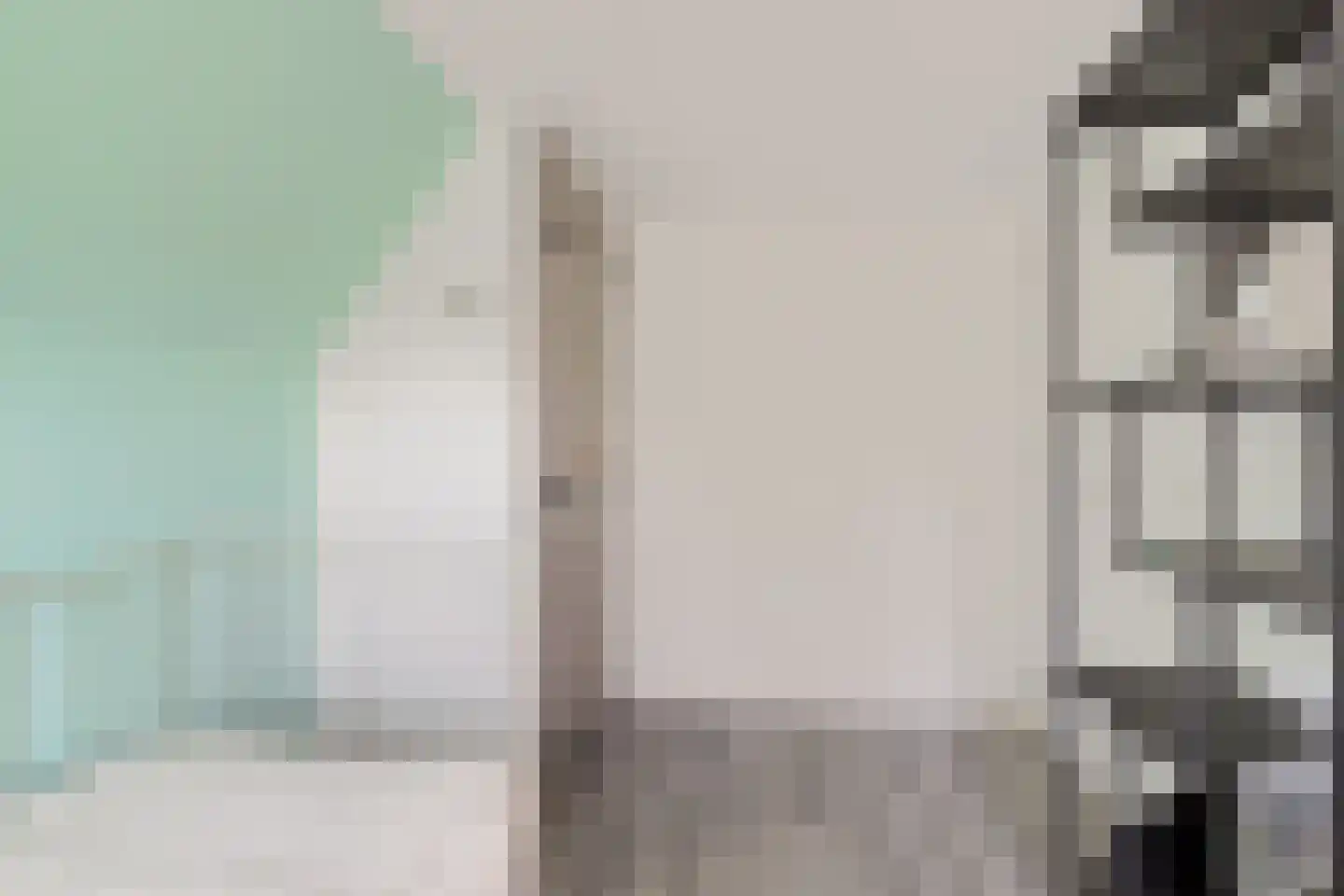 Burenlaan 50 Pingjum thumbnail 32
