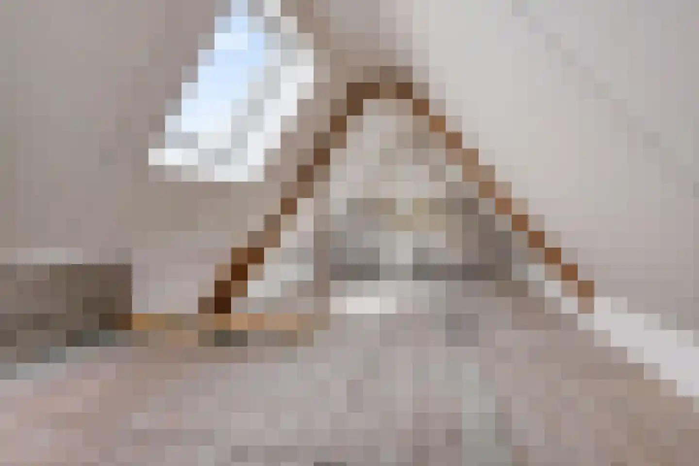 Burenlaan 50 Pingjum thumbnail 34