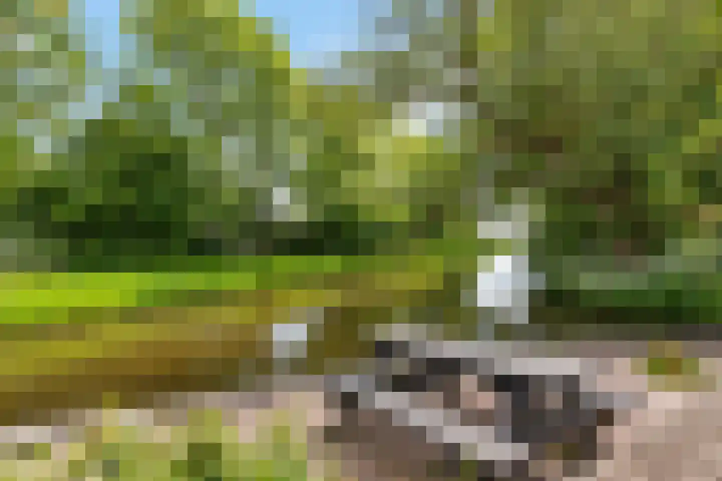 Burenlaan 50 Pingjum thumbnail 39