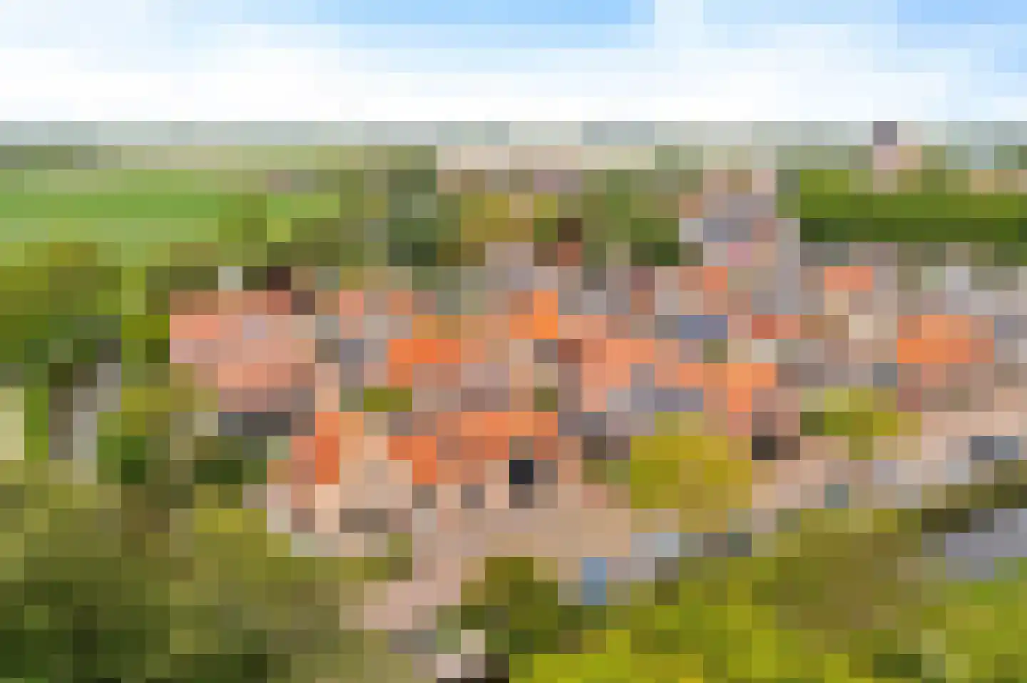 Burenlaan 50 Pingjum thumbnail 4