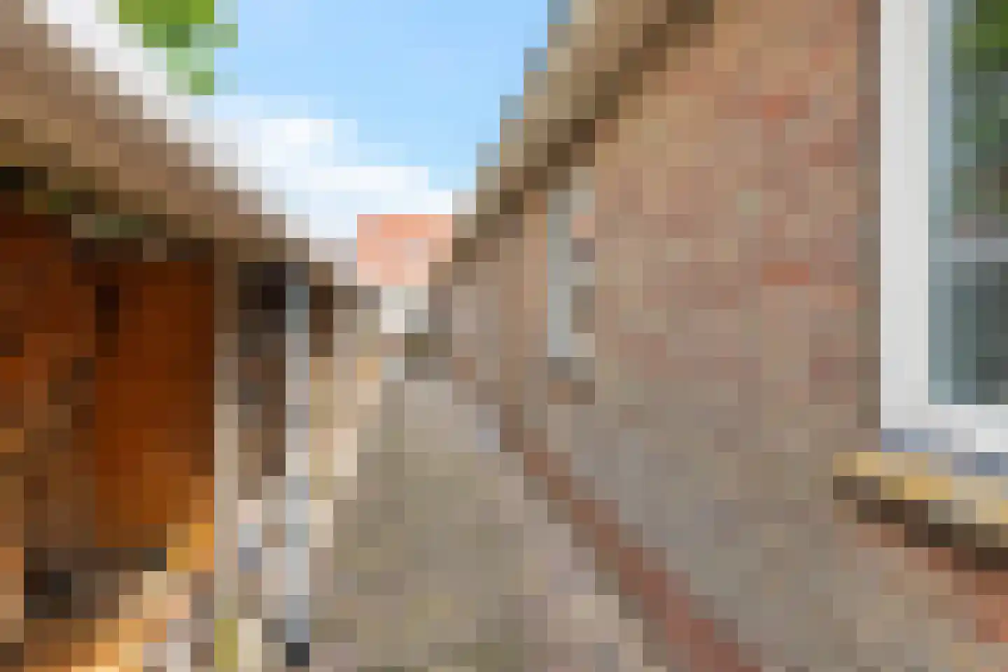 Burenlaan 50 Pingjum thumbnail 41