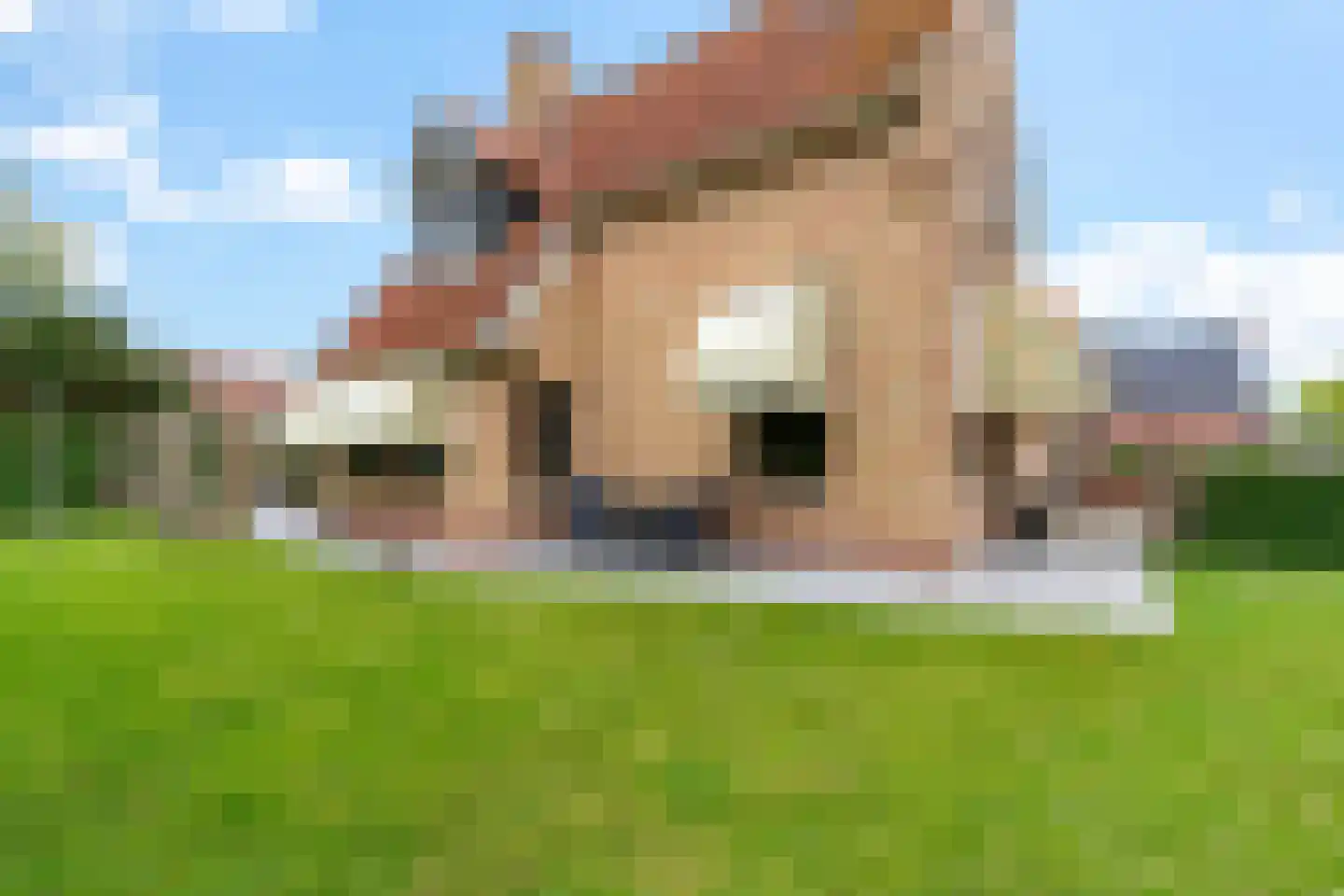 Burenlaan 50 Pingjum thumbnail 42