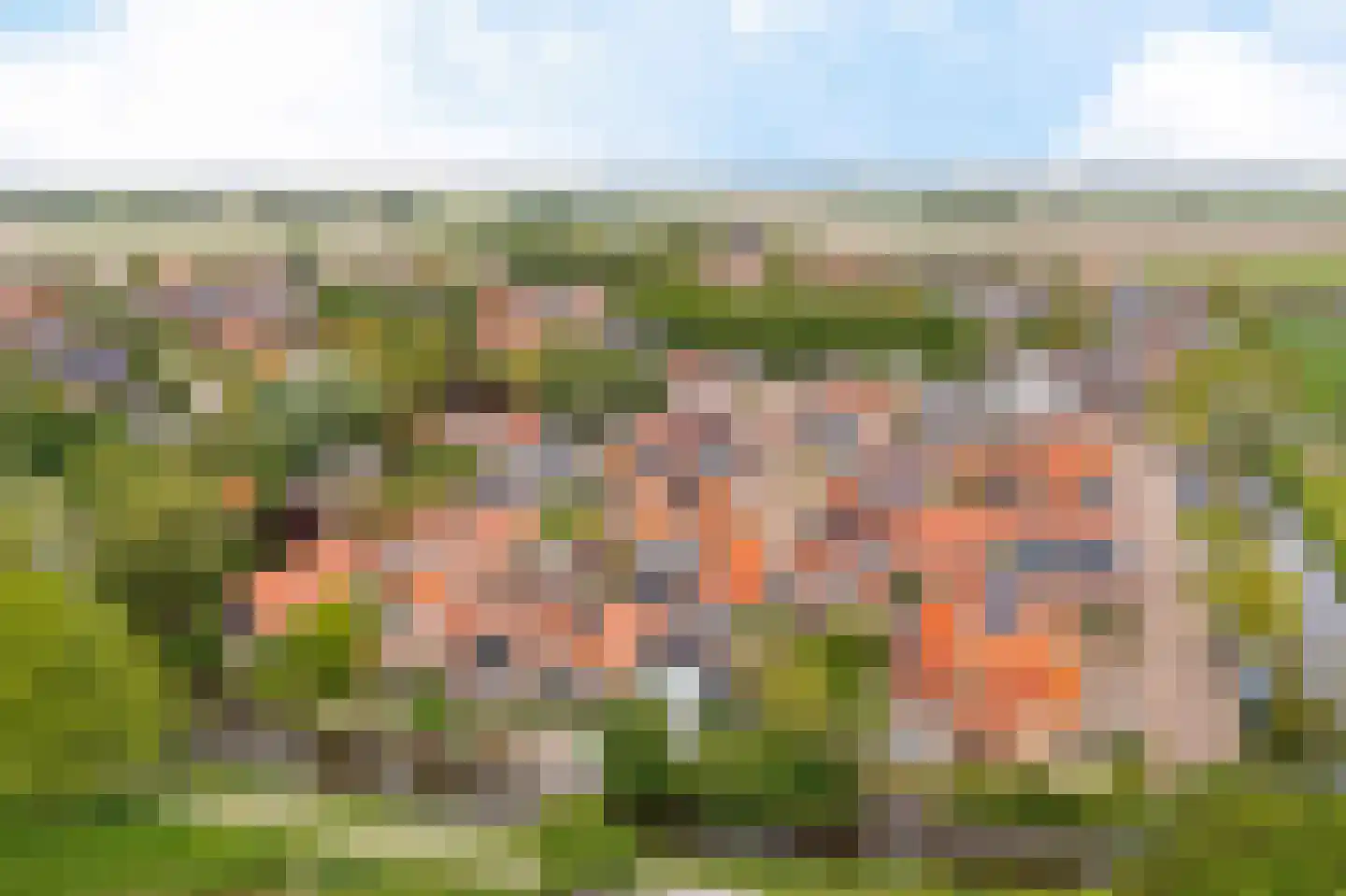 Burenlaan 50 Pingjum thumbnail 44