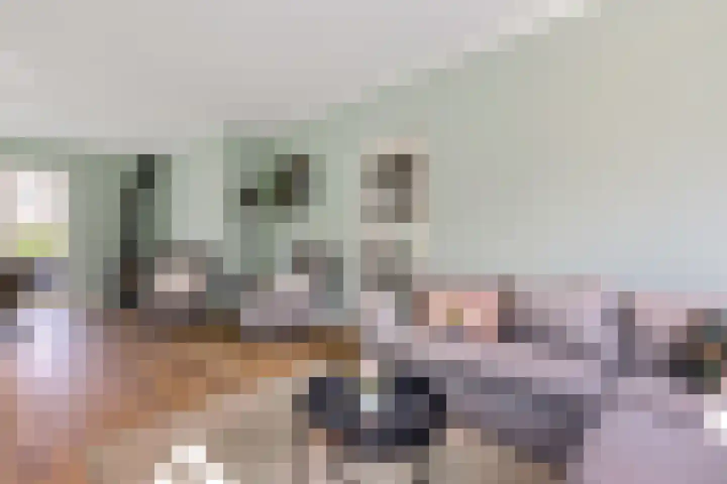 Burenlaan 50 Pingjum thumbnail 6