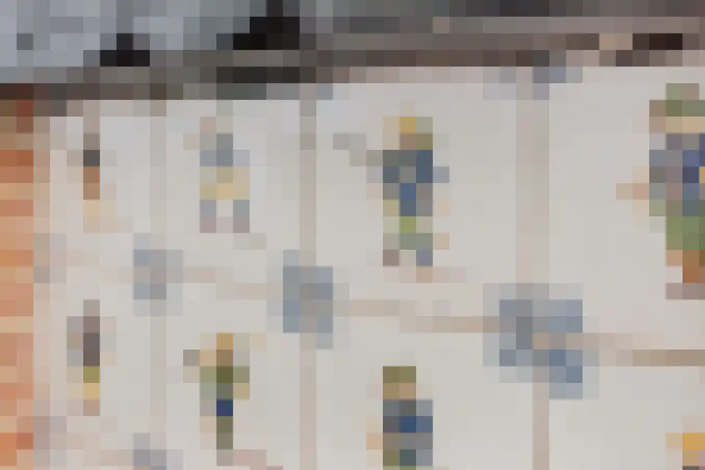 Burenlaan 50 Pingjum thumbnail 8
