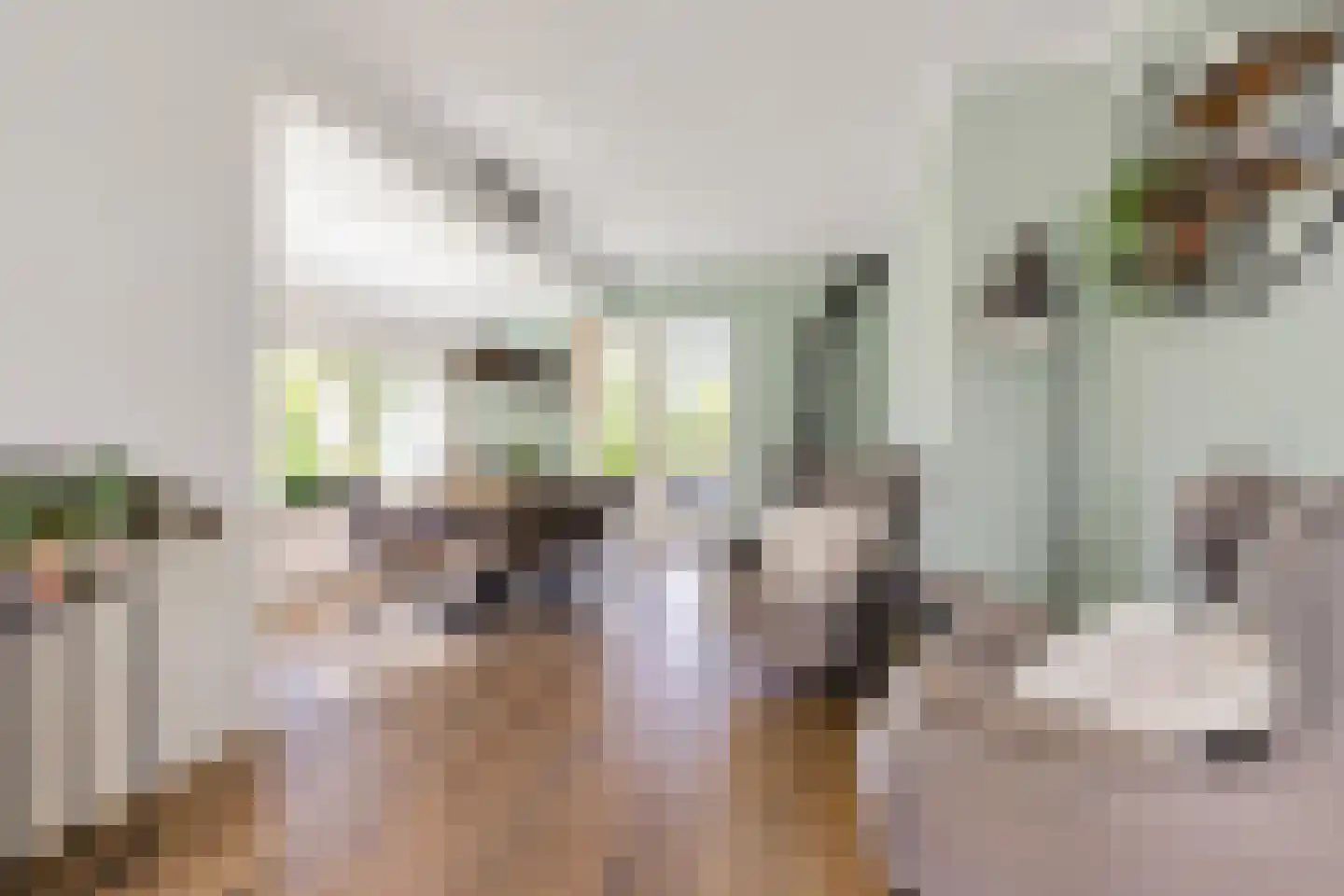 Burenlaan 50 Pingjum thumbnail 9