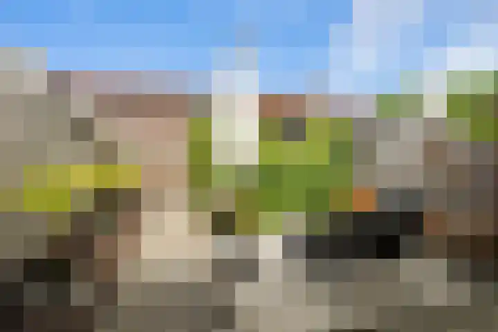 Burettestraat 27 Heerlen thumbnail 16
