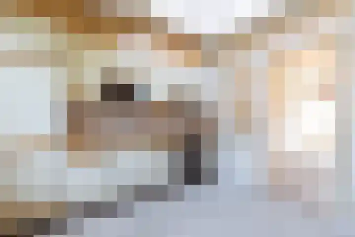 Burettestraat 5 Heerlen thumbnail 7