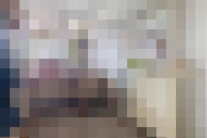 Burg A P vd Blinkln 72 Vierpolders thumbnail 15