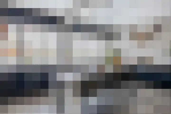Burg A P vd Blinkln 72 Vierpolders thumbnail 21