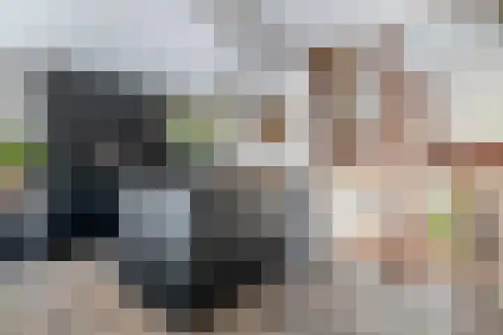 Burg A P vd Blinkln 72 Vierpolders thumbnail 23