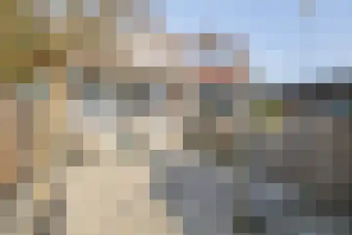Burg A P vd Blinkln 72 Vierpolders thumbnail 37