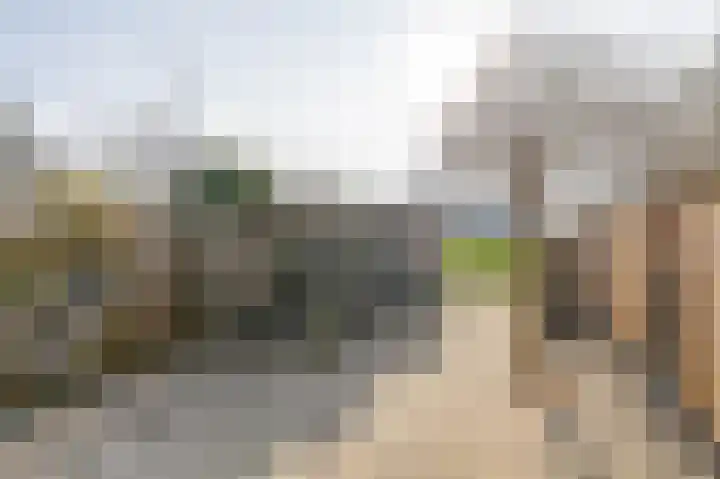 Burg A P vd Blinkln 72 Vierpolders thumbnail 38