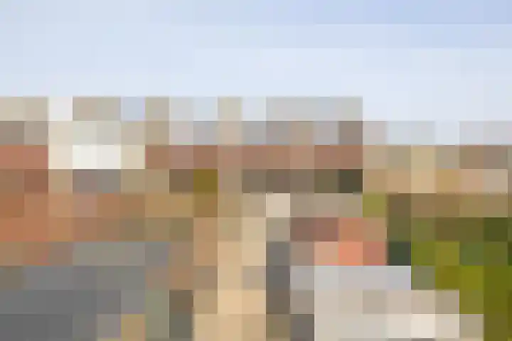 Burg A P vd Blinkln 72 Vierpolders thumbnail 39