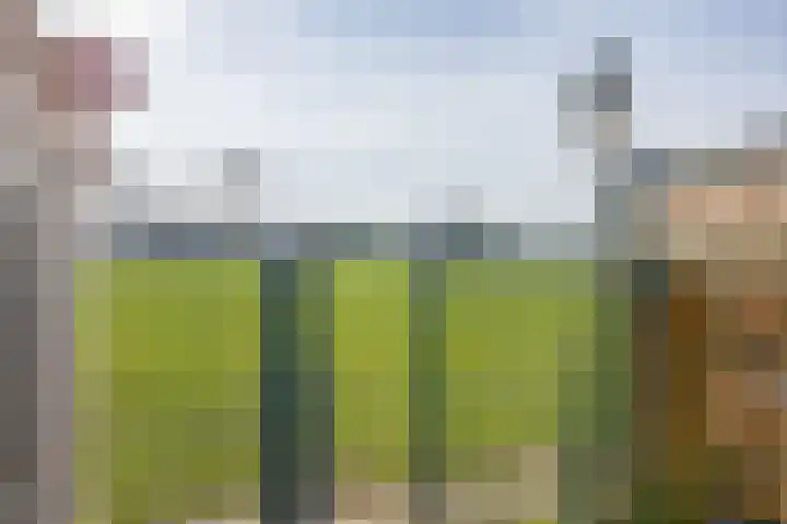 Burg A P vd Blinkln 72 Vierpolders thumbnail 40