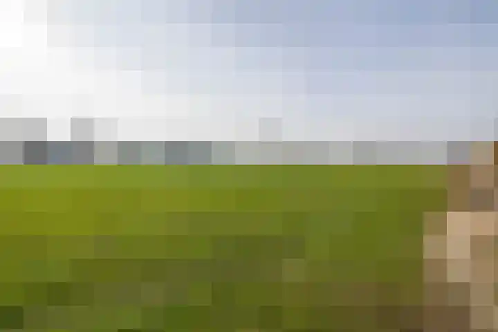 Burg A P vd Blinkln 72 Vierpolders thumbnail 41