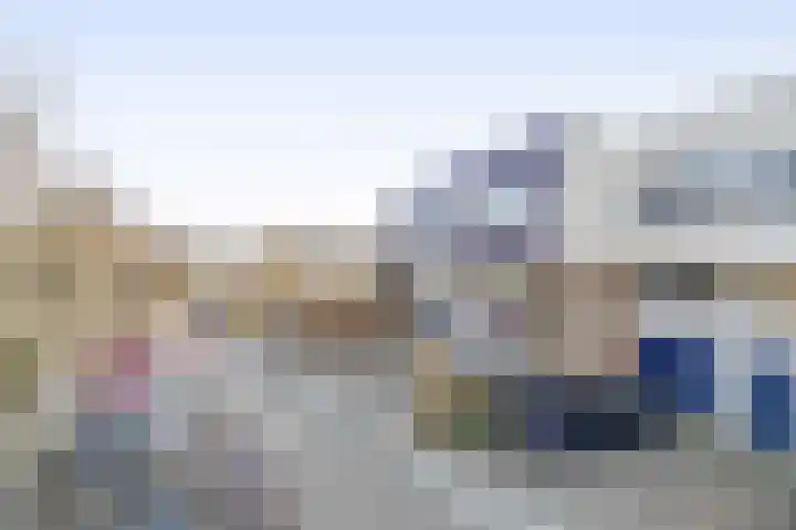 Burg A P vd Blinkln 72 Vierpolders thumbnail 9