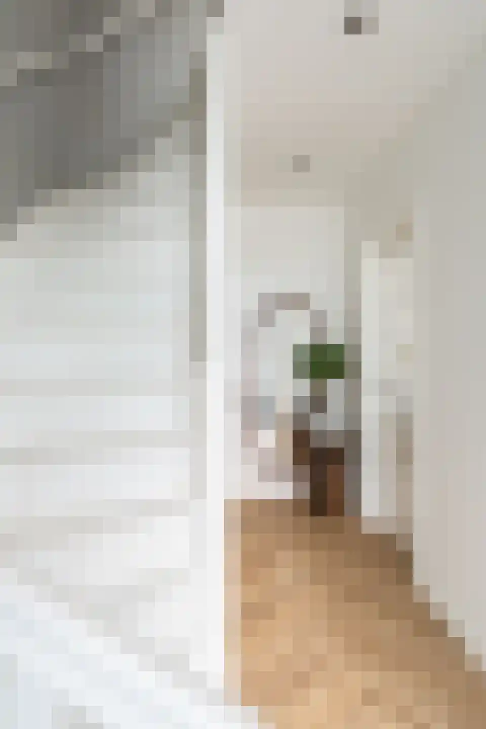 Burg. Allardstraat 21 Geertruidenberg thumbnail 16