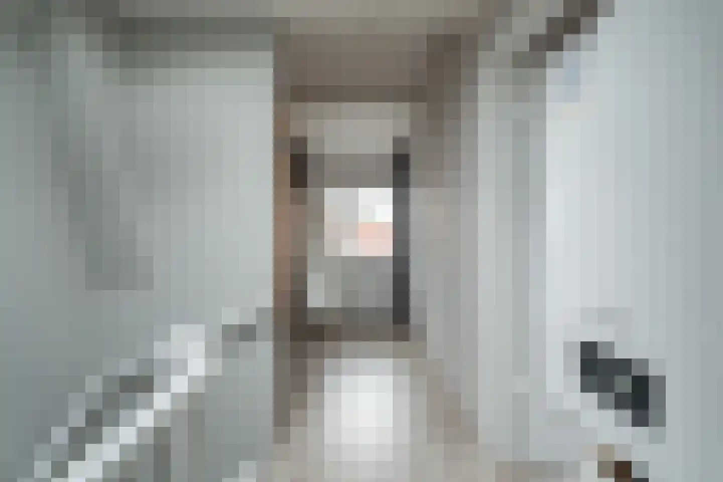 Burg. Allardstraat 21 Geertruidenberg thumbnail 27