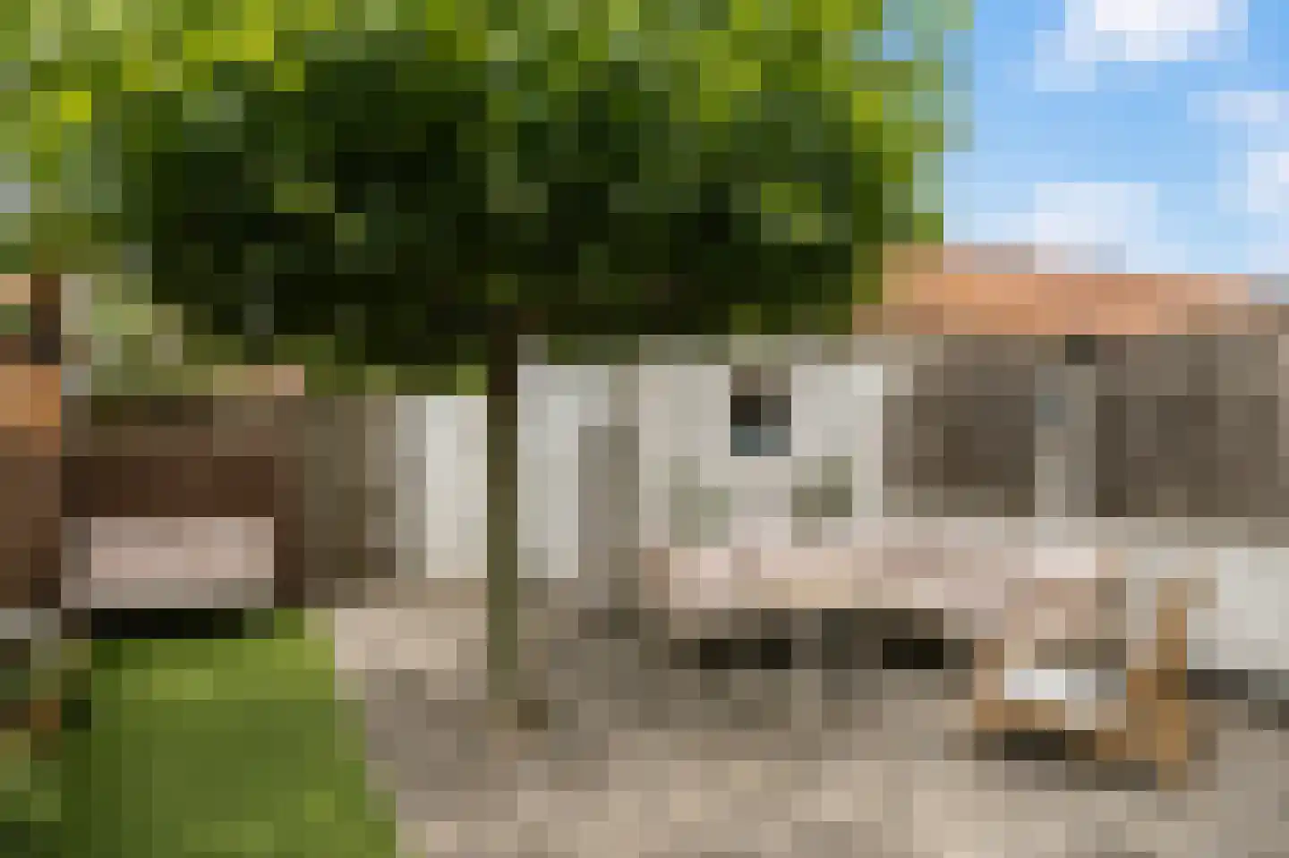 Burg. Allardstraat 21 Geertruidenberg thumbnail 32
