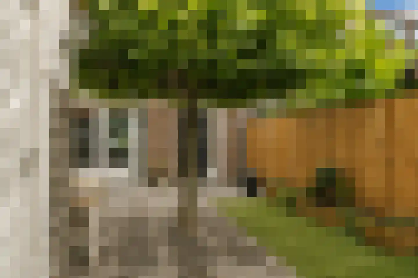Burg. Allardstraat 21 Geertruidenberg thumbnail 33