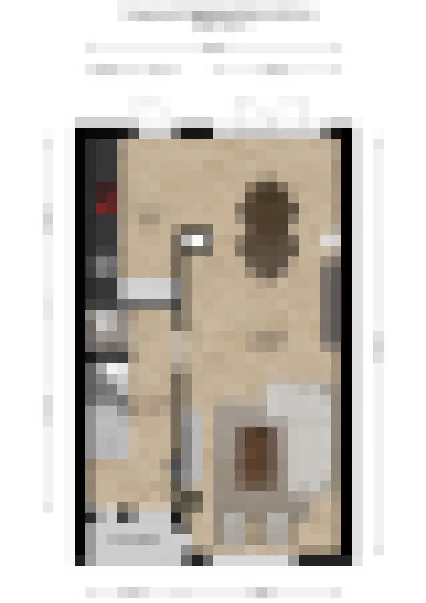 Burg. Allardstraat 21 Geertruidenberg thumbnail 38