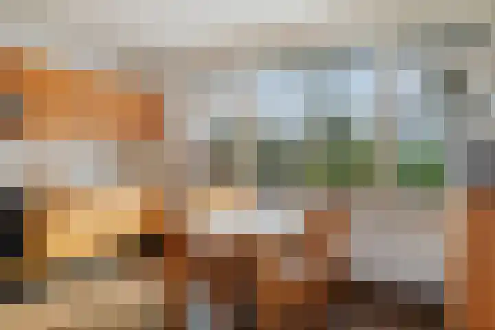 Burg. Arriënsweg 13 Diepenveen thumbnail 16