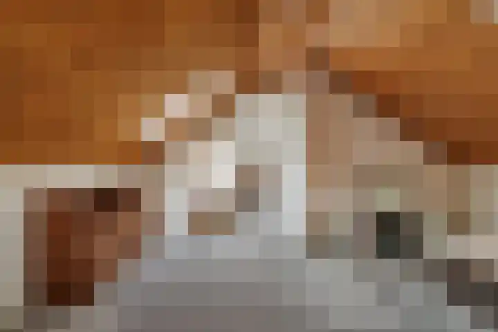 Burg. Arriënsweg 13 Diepenveen thumbnail 26