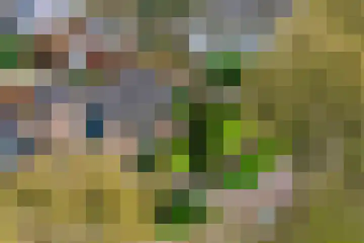 Burg. Arriënsweg 13 Diepenveen thumbnail 32