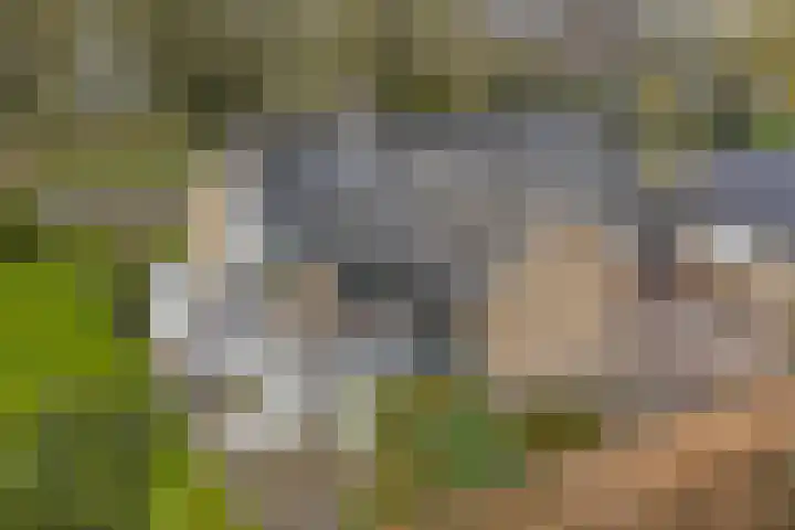 Burg. Arriënsweg 13 Diepenveen thumbnail 33