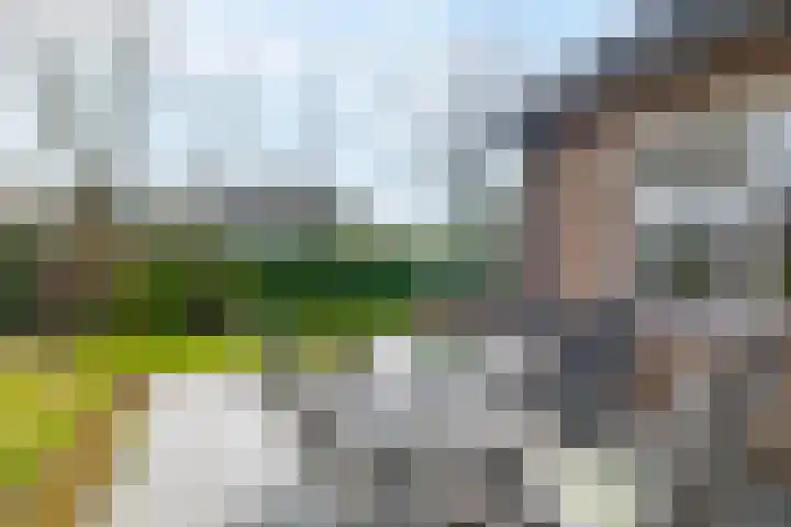 Burg. Arriënsweg 13 Diepenveen thumbnail 34