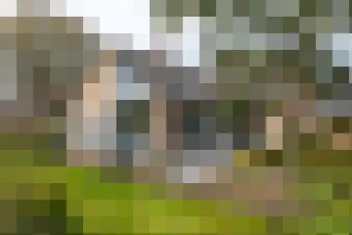 Burg. Arriënsweg 13 Diepenveen thumbnail 35
