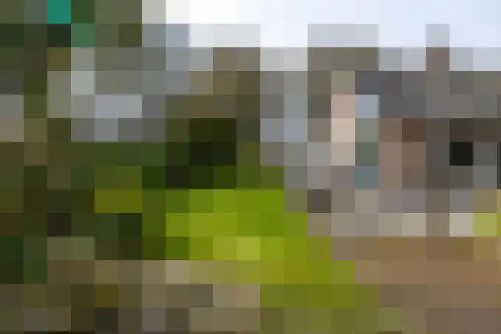 Burg. Arriënsweg 13 Diepenveen thumbnail 36