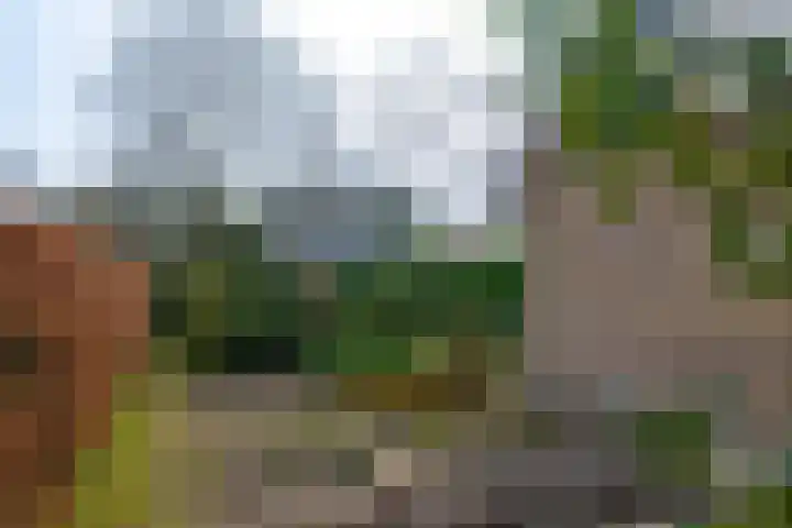 Burg. Arriënsweg 13 Diepenveen thumbnail 38