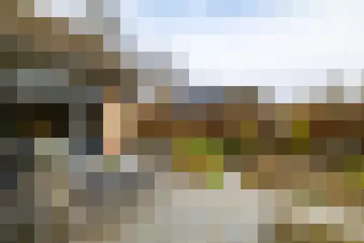 Burg. Arriënsweg 13 Diepenveen thumbnail 39