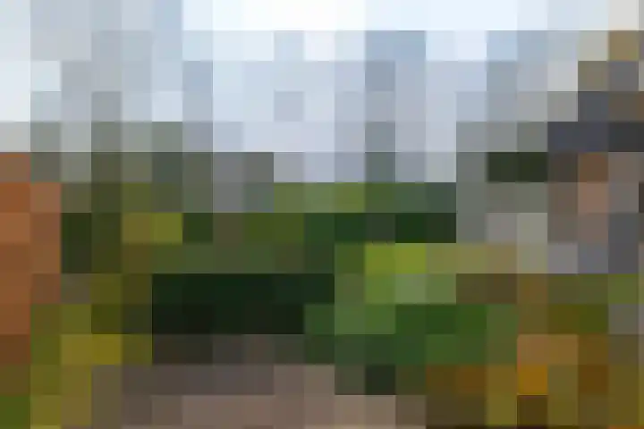 Burg. Arriënsweg 13 Diepenveen thumbnail 4