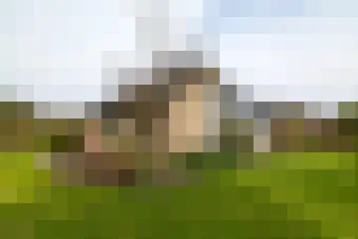 Burg. Arriënsweg 13 Diepenveen thumbnail 40