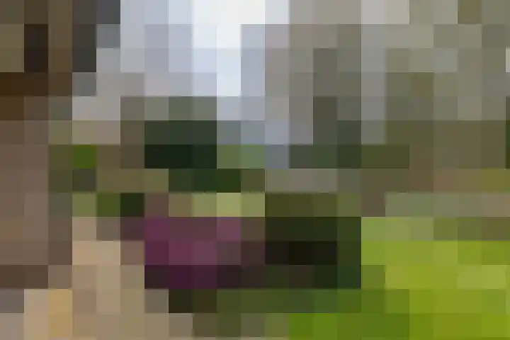 Burg. Arriënsweg 13 Diepenveen thumbnail 45