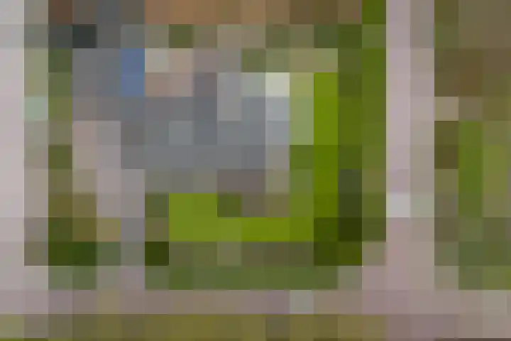 Burg. Arriënsweg 13 Diepenveen thumbnail 47