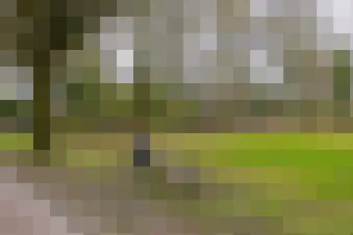 Burg. Arriënsweg 13 Diepenveen thumbnail 48