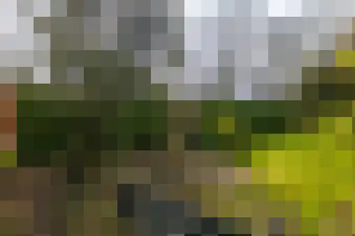 Burg. Arriënsweg 13 Diepenveen thumbnail 5