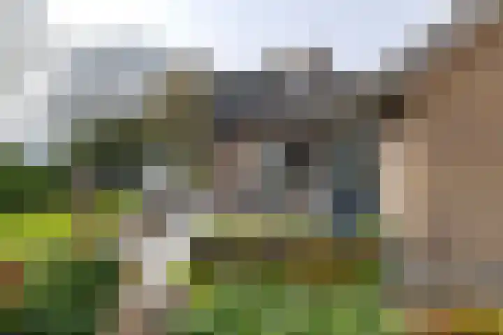 Burg. Arriënsweg 13 Diepenveen thumbnail 6