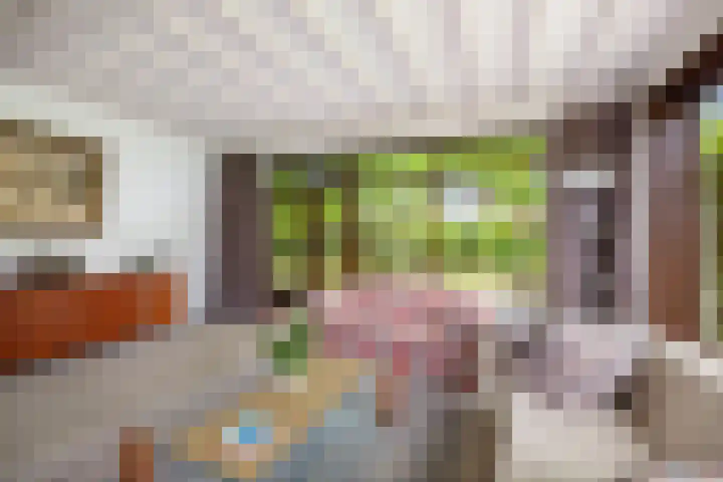 Burg. Arriënsweg 19 Diepenveen thumbnail 11