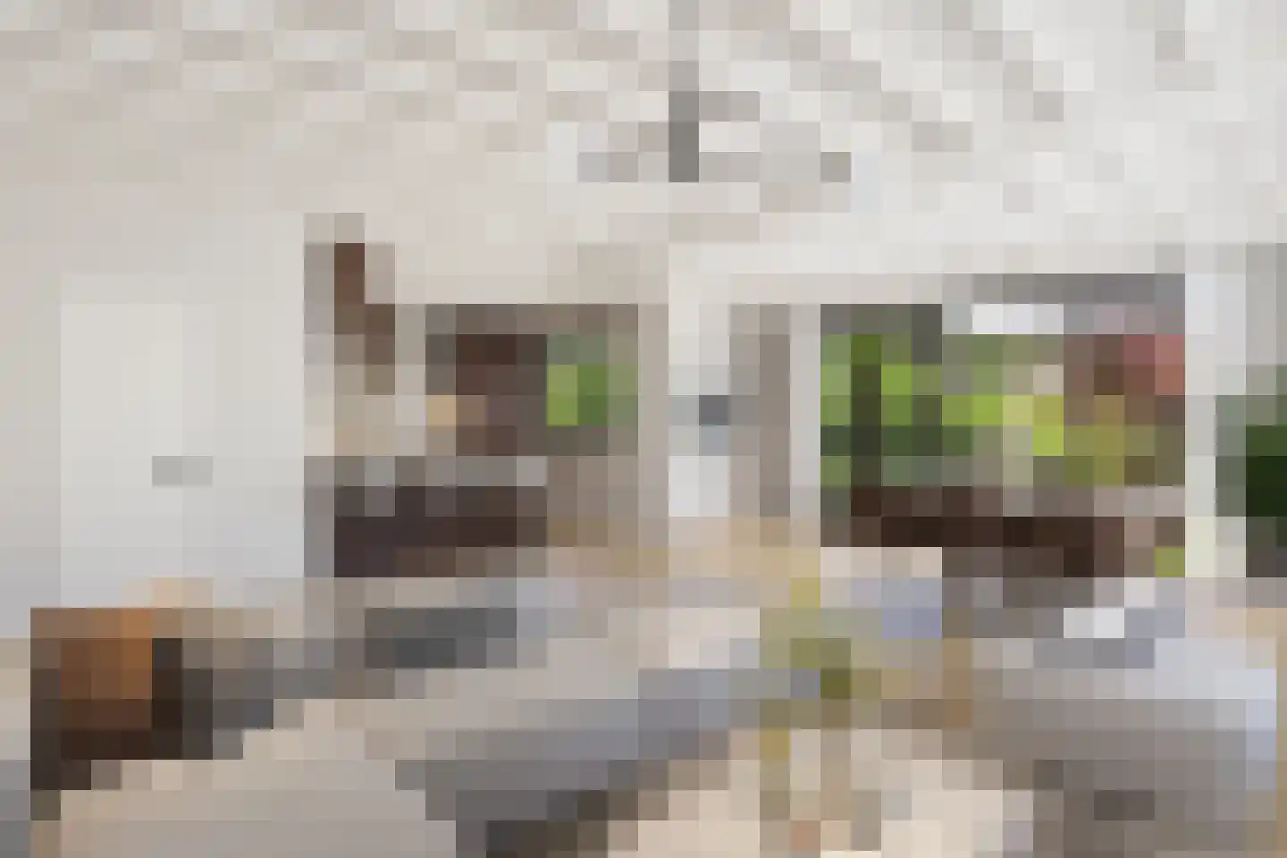 Burg. Arriënsweg 19 Diepenveen thumbnail 12