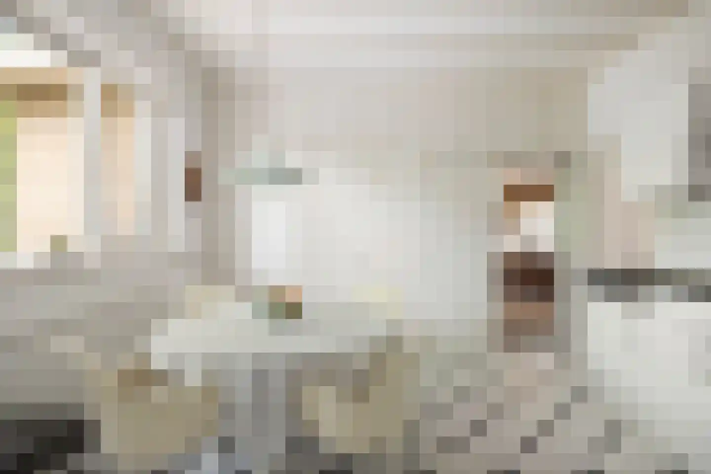Burg. Arriënsweg 19 Diepenveen thumbnail 16